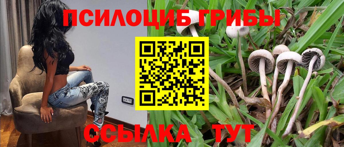 Гашиш Новочеркасск