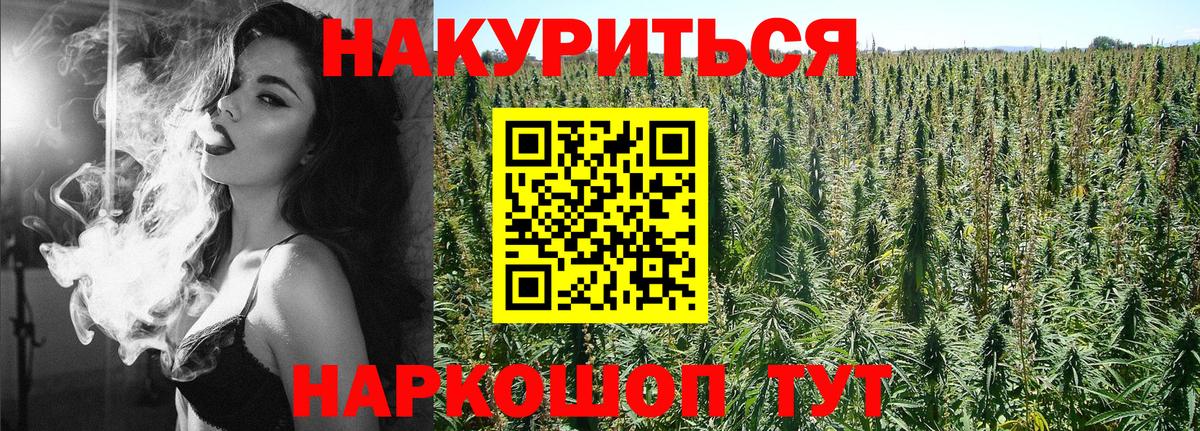 Бошки Шишки гибрид Новочеркасск